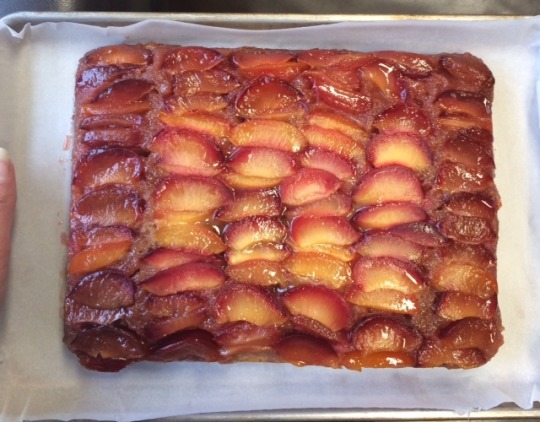 Upside Down Plum Cake